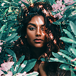 Shoot017.png